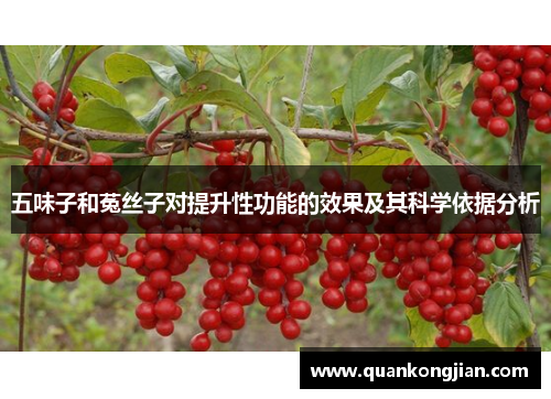 五味子和菟丝子对提升性功能的效果及其科学依据分析