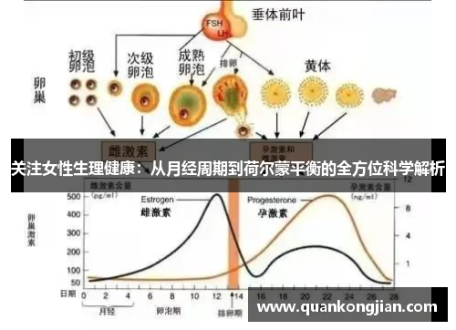 关注女性生理健康：从月经周期到荷尔蒙平衡的全方位科学解析