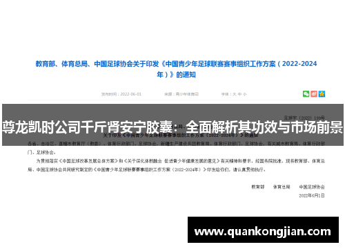 尊龙凯时公司千斤肾安宁胶囊：全面解析其功效与市场前景